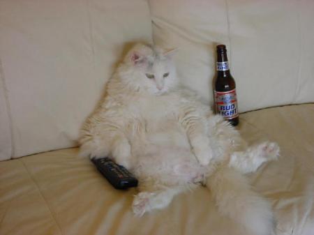 minou bourer